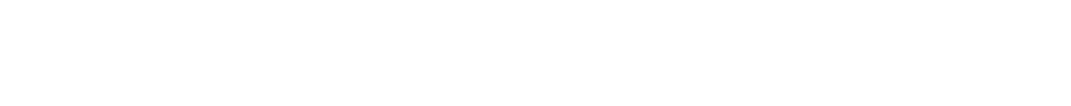 Logo Camin Ancesa