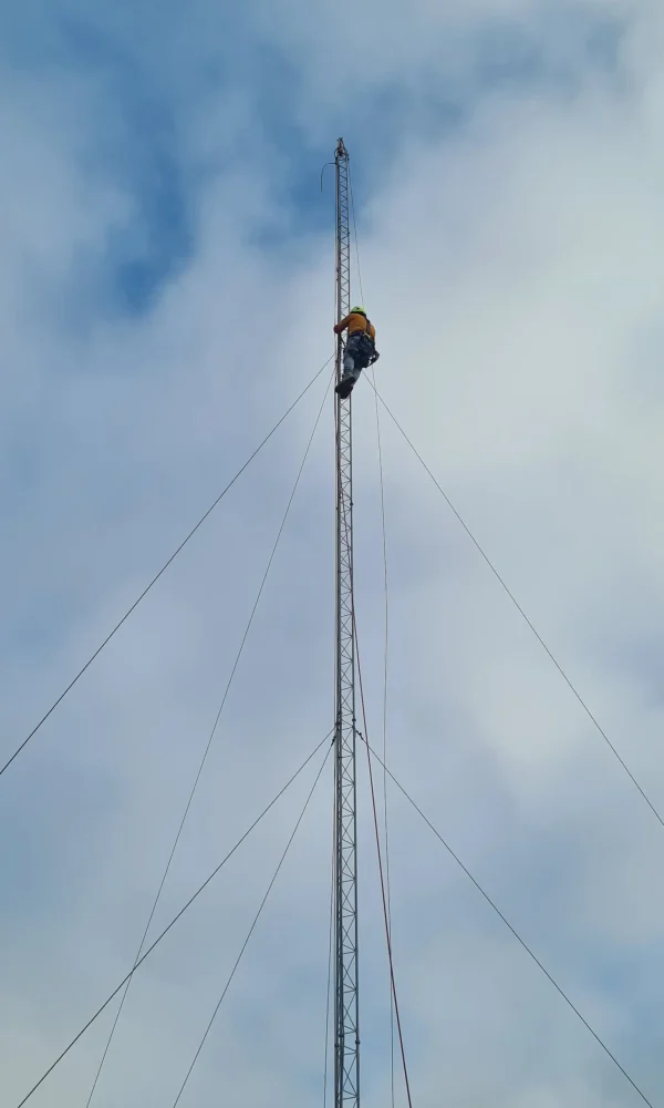 Trabajos verticales
